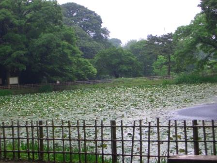 水無月_a0126590_22485376.jpg