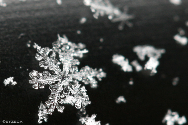 SNOWFLAKE・3_b0051600_16375531.jpg