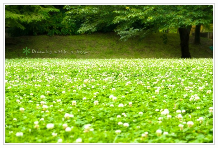 府中郷土の森　その３_e0031502_7241828.jpg