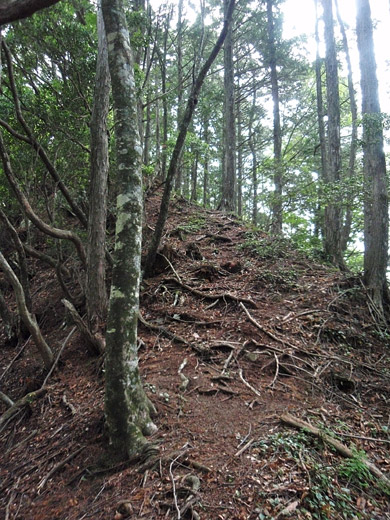 e0066210_010811.jpg