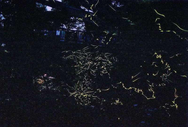 f0182513_104514.jpg