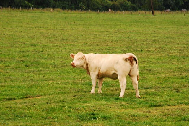 c0164514_01744100.jpg