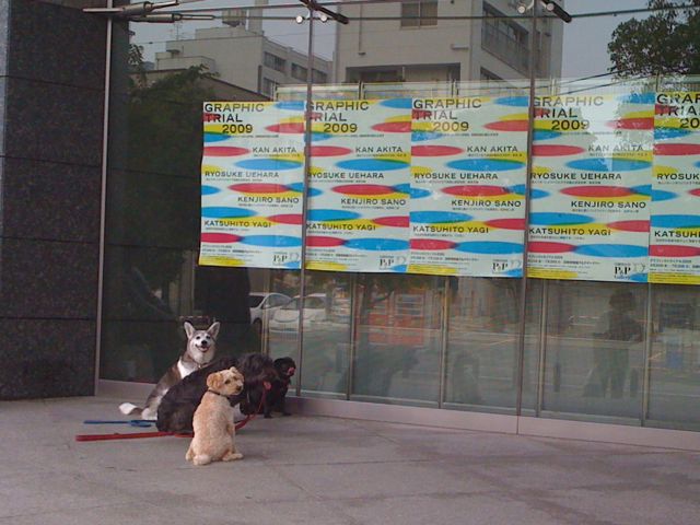 わんわん学級_a0077315_14332547.jpg