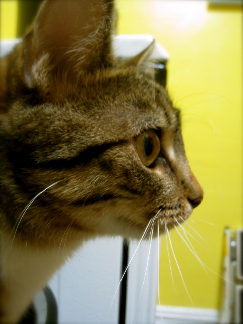 c0120817_15114381.jpg