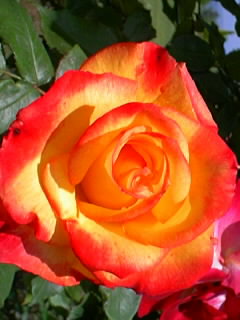 b0147522_18441026.jpg