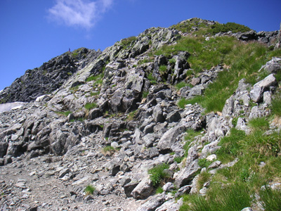 a0068424_2249475.jpg