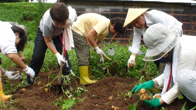夏野菜収穫と田舎ぐらし体験ツアー　２日目　坂口地区_e0061225_11184935.jpg
