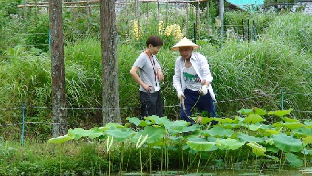 夏野菜収穫と田舎ぐらし体験ツアー　２日目　坂口地区_e0061225_1121267.jpg