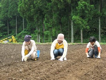 6月11日、今日は武生西小学校と一般のオーナーさん_e0061225_11293136.jpg