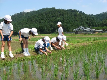 6月15日 種まき(服間小学校4年生の子供たち)_e0061225_921951.jpg