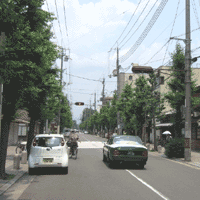 d0033734_1405663.gif