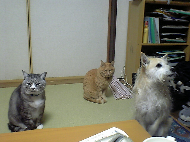 c0164236_11182168.jpg