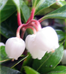 f0038336_8401378.jpg
