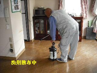 フロアーの樹脂ワックス_f0031037_19242597.jpg
