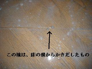 フロアーの樹脂ワックス_f0031037_19273096.jpg