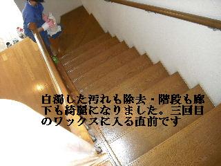 フロアーの樹脂ワックス_f0031037_1934826.jpg
