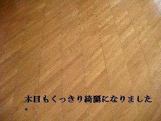 フロアーの樹脂ワックス_f0031037_1935184.jpg