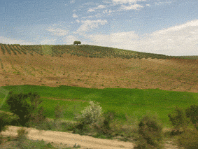e0034141_16463898.gif