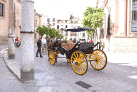 e0034141_17241033.gif