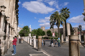 e0034141_1724279.gif