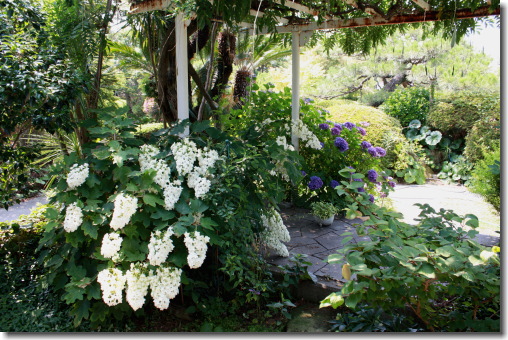 b0066947_083785.jpg
