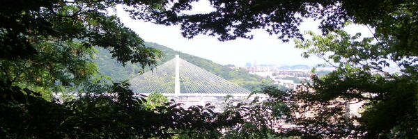 e0161853_1947312.jpg
