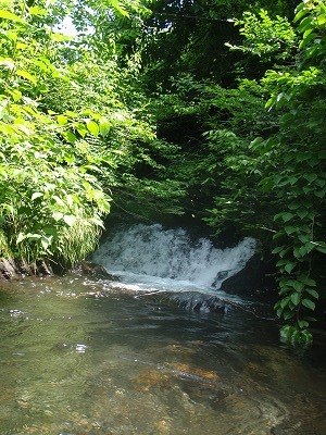 c0097754_2116555.jpg