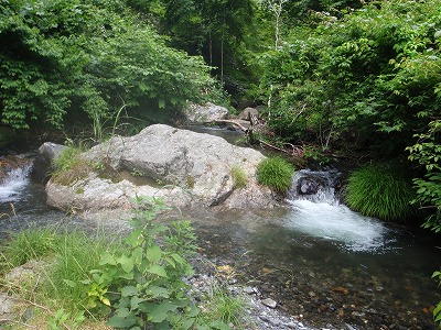 c0097754_21241452.jpg