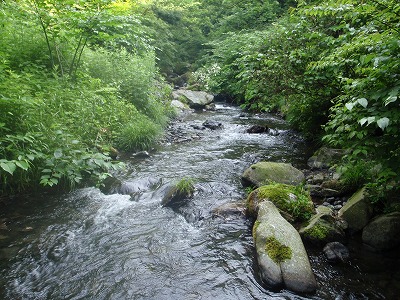 c0097754_2172511.jpg