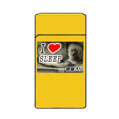 I LOVE SLEEP（狸寝入り） ライター_a0121655_1261552.jpg