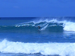 Surfer\'s Paradise_a0048361_3404440.jpg