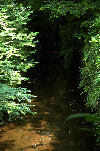 b0134364_18273618.jpg