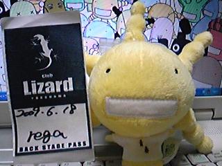 rega ＠横浜LIZARD_c0192865_1637519.jpg