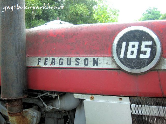 e0173670_2050147.jpg