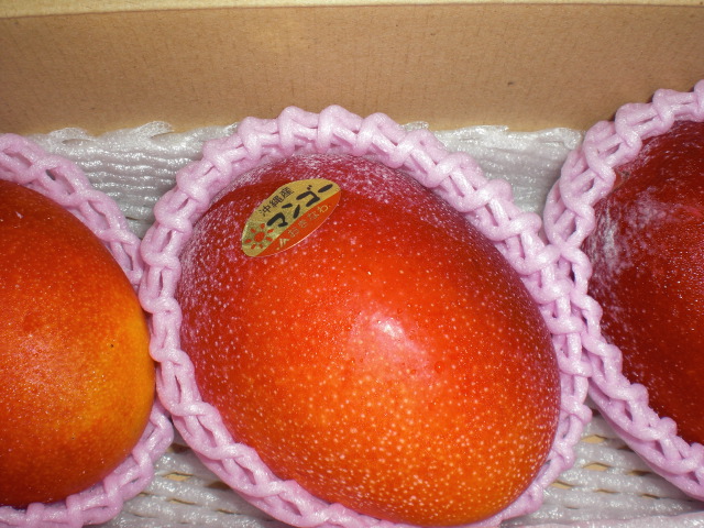 b0157276_1144346.jpg