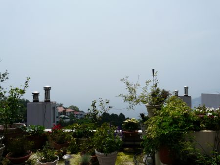 2009年6月19日 今日は三島方面_b0098584_16484853.jpg