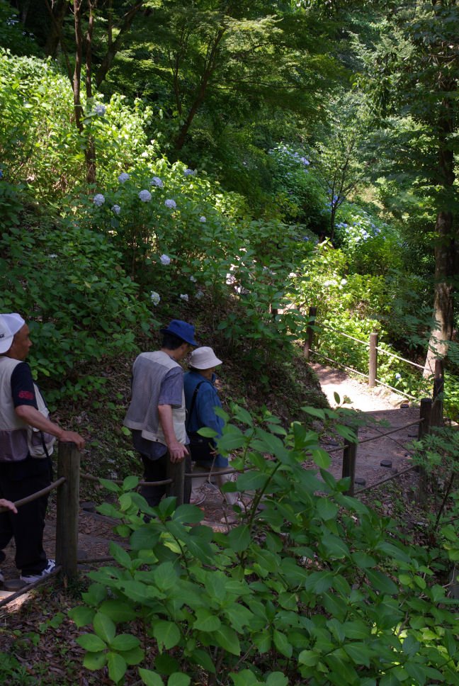 c0152288_032117.jpg