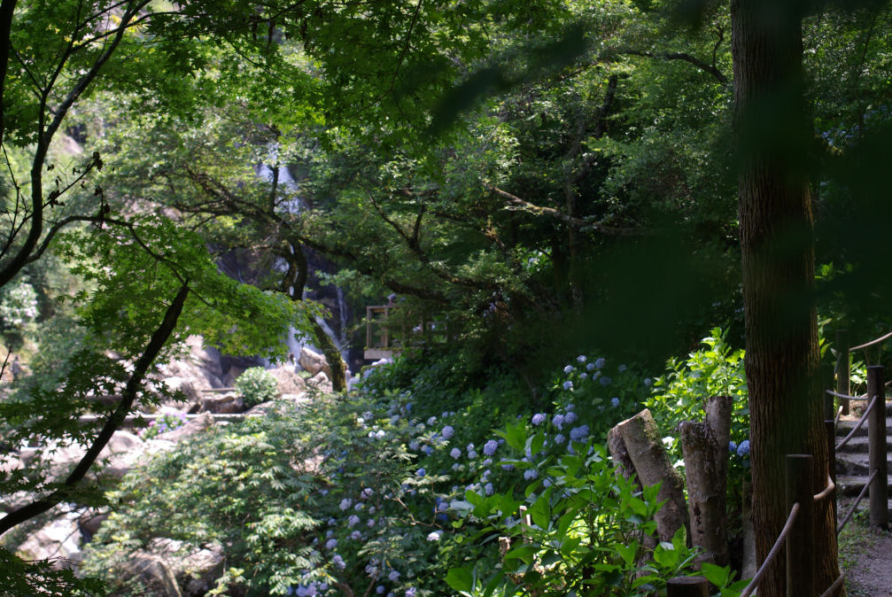 c0152288_033660.jpg