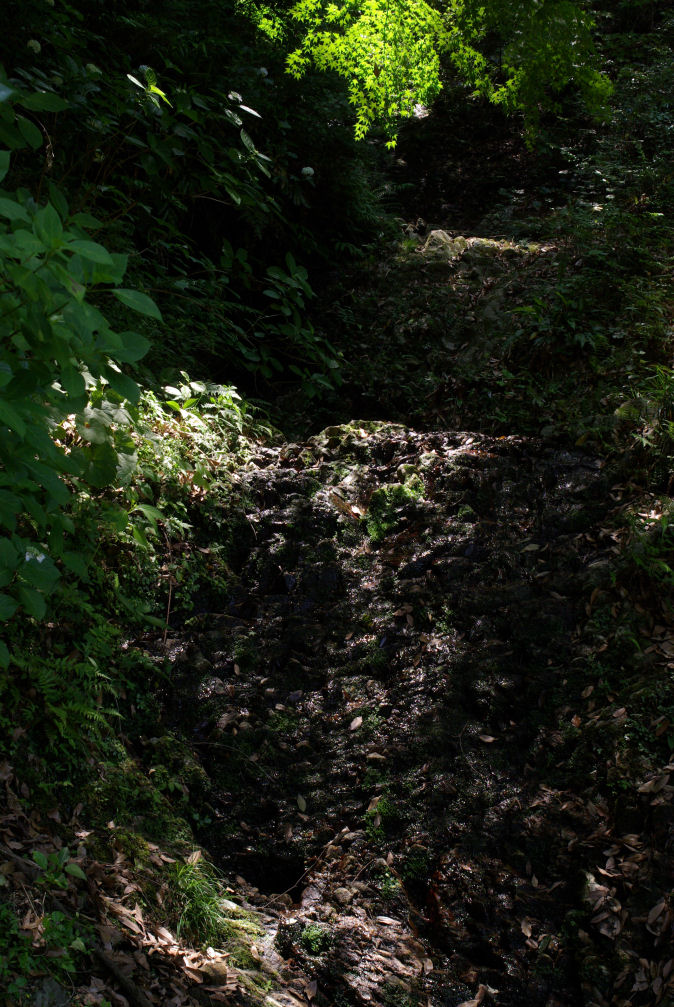 c0152288_0341493.jpg