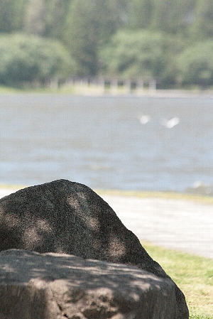 d0133693_22154548.jpg