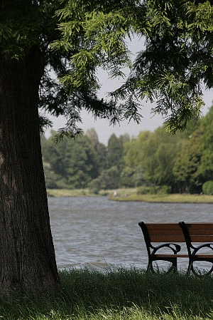 d0133693_22161179.jpg