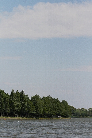 d0133693_2216629.jpg