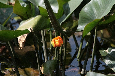 d0133693_2219395.jpg