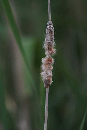 d0133693_22194574.jpg