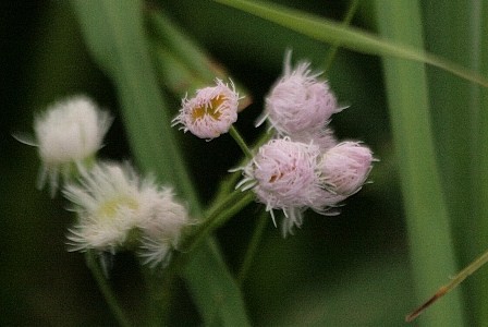 d0133693_22195210.jpg