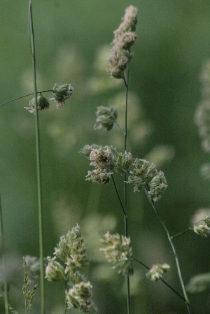 d0133693_2219924.jpg