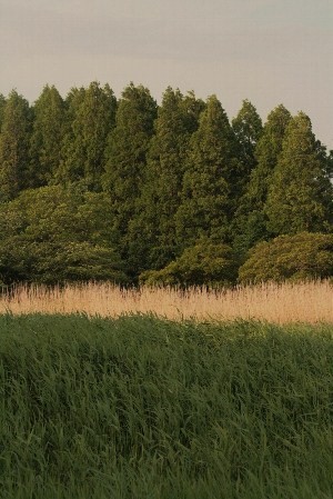 d0133693_22201256.jpg