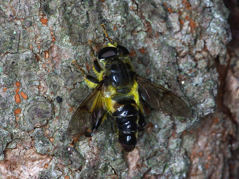 f0204094_22273757.jpg