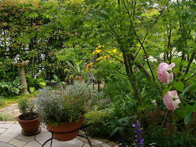 a0123003_2048049.jpg