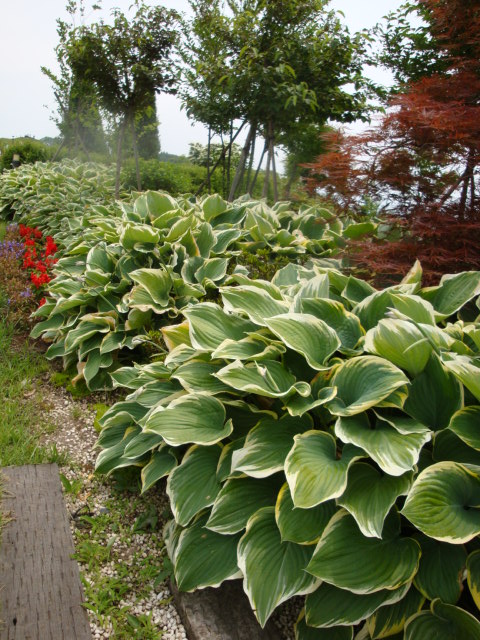 e0175905_2141025.jpg